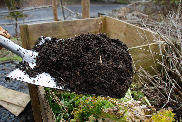 BEING ECO FRIENDLY BY HOME COMPOSTING
